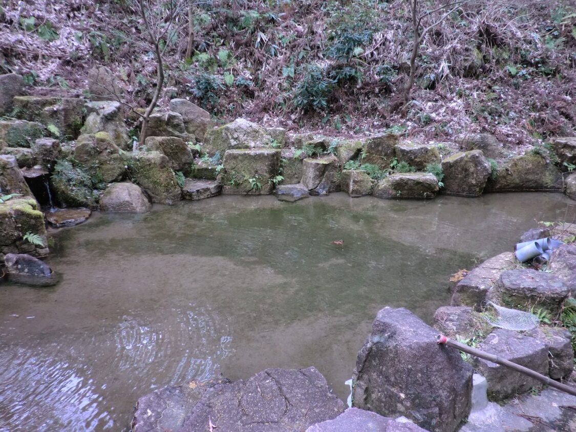 初木もれ陽の森_つかみ取り池