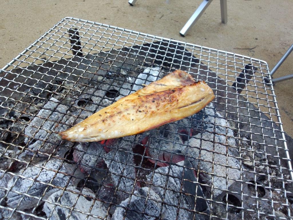 初木もれ陽の森_魚