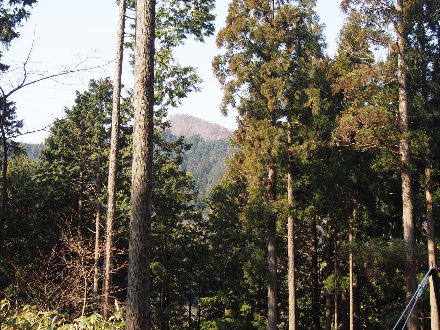 2014年3月23日、木もれ陽の森キャンプ場から見た山