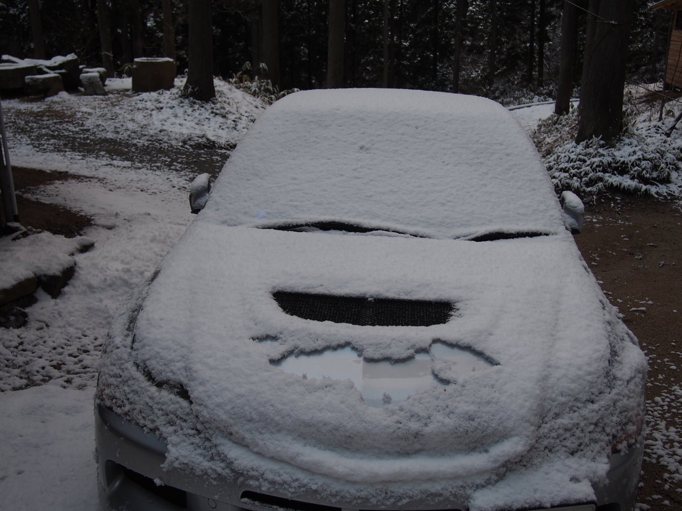 2014年3月22日の朝、木もれ陽の森キャンプ場で雪に埋もれた車