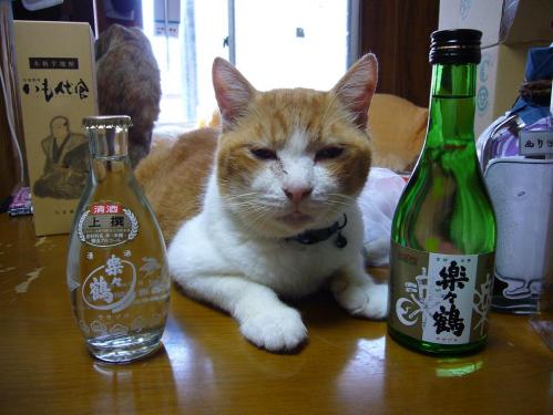 お土産とポン助２