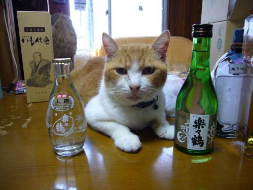 お土産とポン助