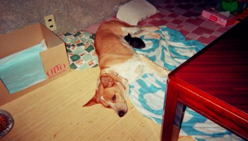 s_05870006.jpg