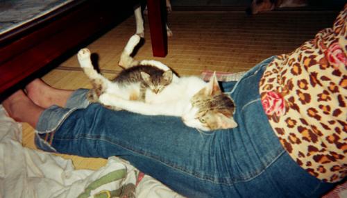 s_05870017.jpg