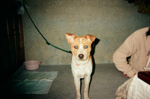 s_05900010.jpg