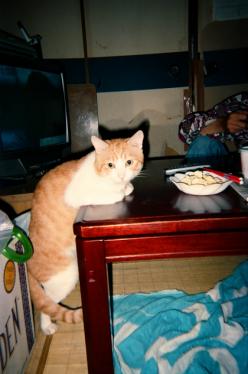 s_05910014.jpg