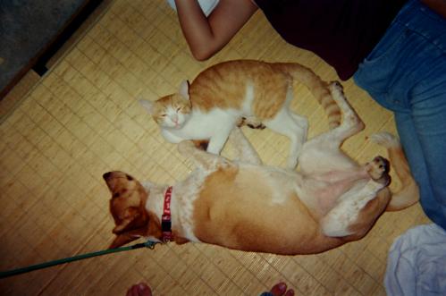 s_05920025.jpg