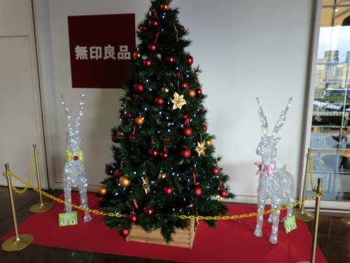 s_CIMG0881.jpg
