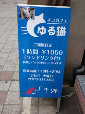 s_CIMG3384.jpg