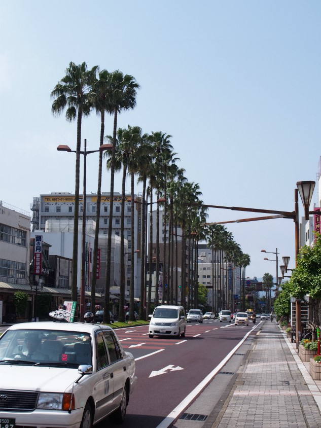 宮崎市内_フェニックス