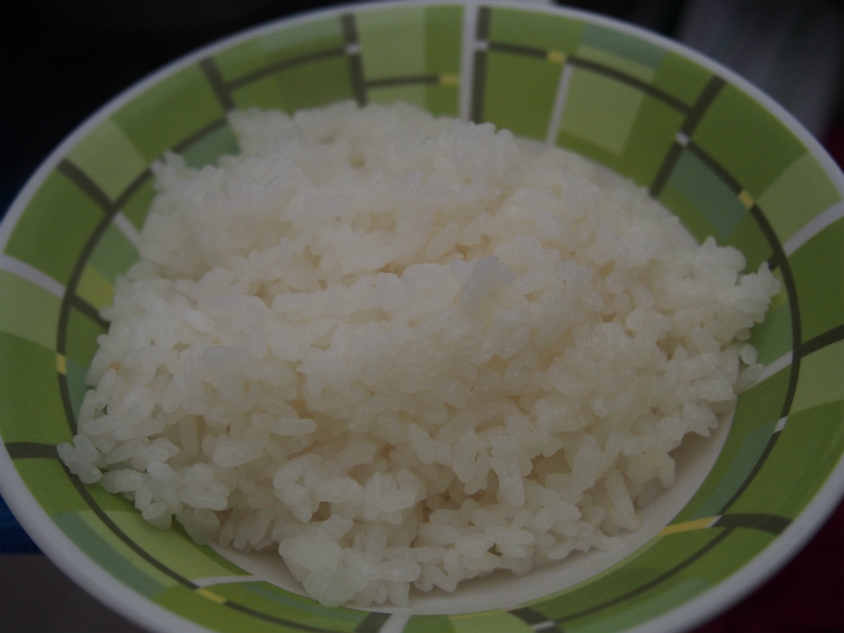 2014宮崎白浜オートキャンプ場二日目_白ご飯