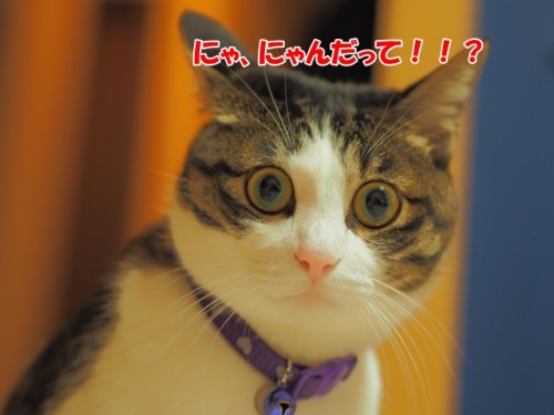 ce81cd70fa6438c2081cd293ed9bf26e_s