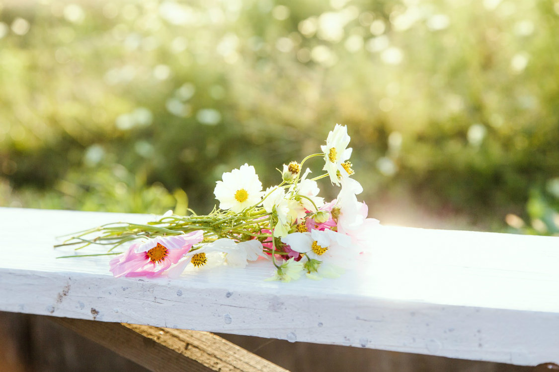贈り物の花、供えられた花