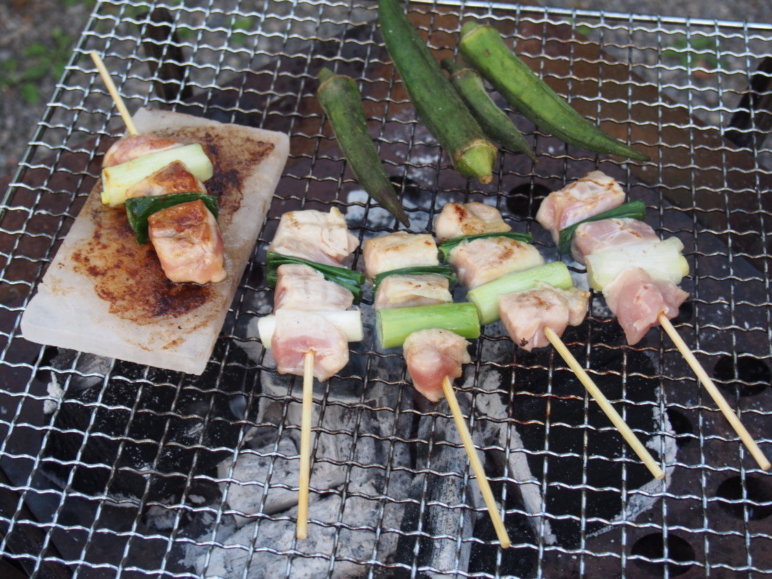 アイリスパーク 岩塩プレートで焼鳥