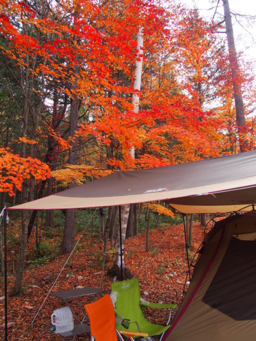 高ソメキャンプ場 テントと紅葉
