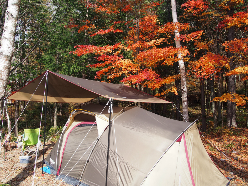 高ソメキャンプ場 紅葉とテント