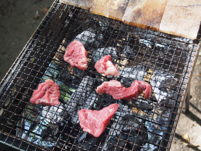 大泉緑地BBQ　コストコ肉と岩塩焼き