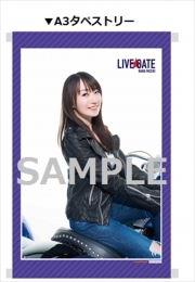 LIVE GATEゲーマーズ特典-タペストリー