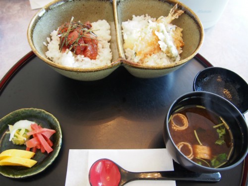 コージュ高鷲_2色丼