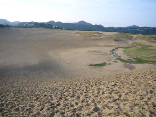 鳥取砂丘_オアシス