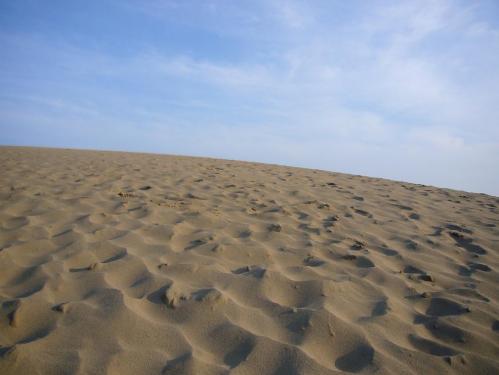 鳥取砂丘_風紋
