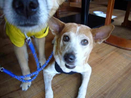 レナ_ロイドライト