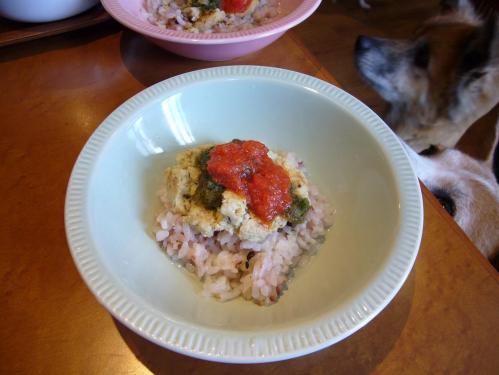 犬用_ロコモコ丼