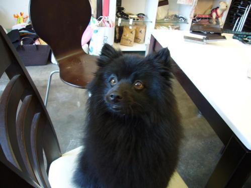 ワンバナ_ピッチ君2