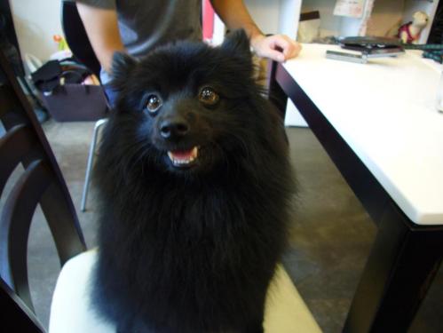 ワンバナ_ピッチ君1