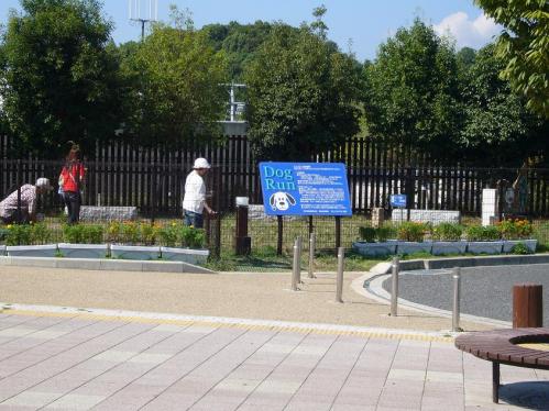 紀ノ川SA_ドッグラン