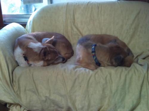 蘭、レナ_同じポーズ