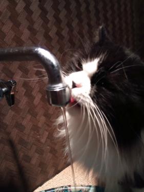 ぐるぐる堂_花花2