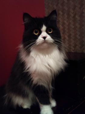 ぐるぐる堂_花花