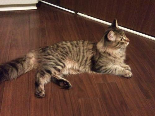 ぐるぐる堂_ヤム?