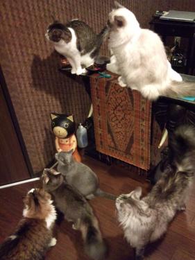 ぐるぐる堂_餌まち