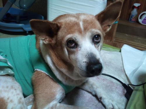 s_2011-12-15 22.18.59