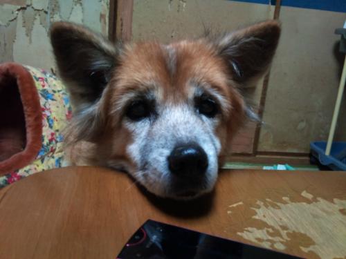 s_2011-12-15 22.07.33