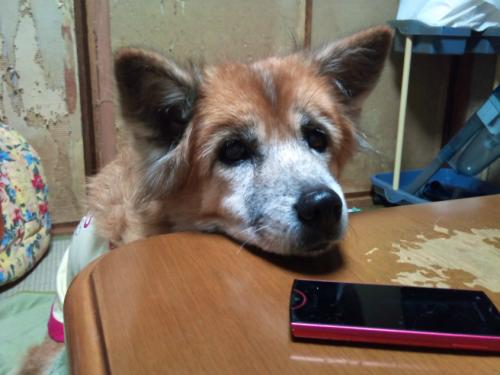 s_2011-12-15 22.07.22