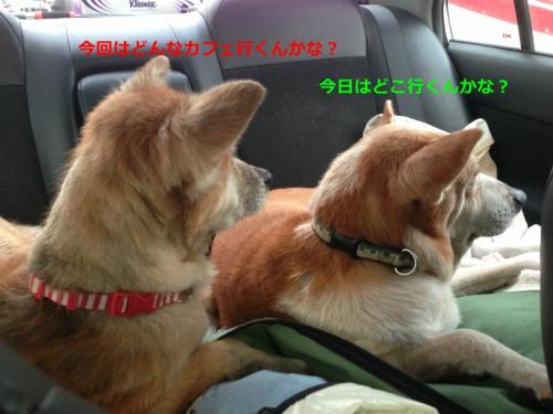 s_写真 2013-09-14 6 57 09