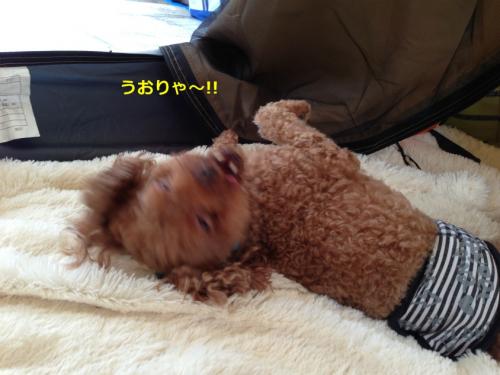 s_写真 2013-09-14 15 27 00