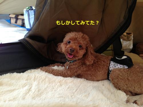 s_写真 2013-09-14 15 27 04