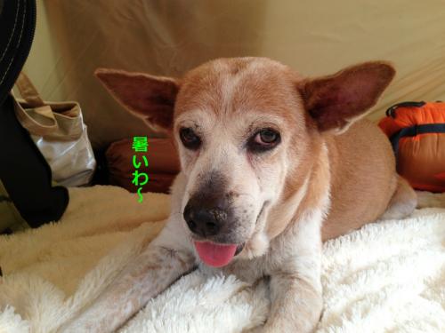 s_写真 2013-09-14 15 25 42