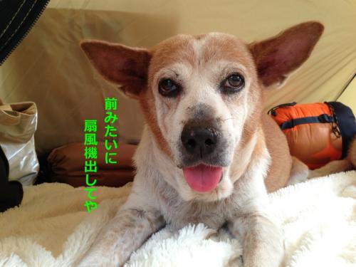 s_写真 2013-09-14 15 25 48