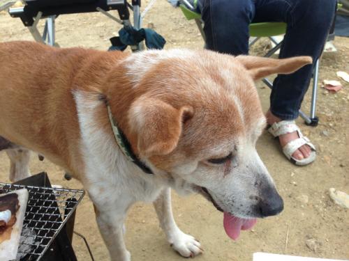 s_写真 2013-09-14 13 04 41