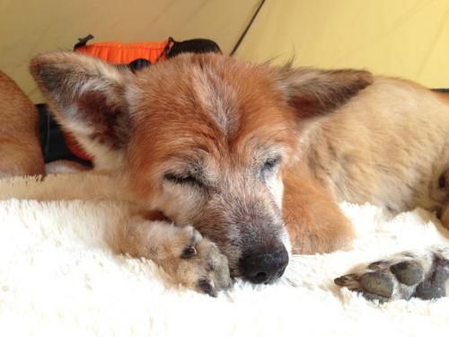 s_写真 2013-09-14 15 26 02