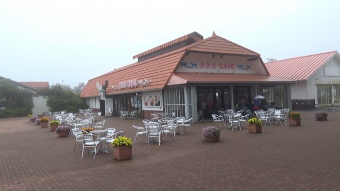 マザー牧場 まきばカフェ