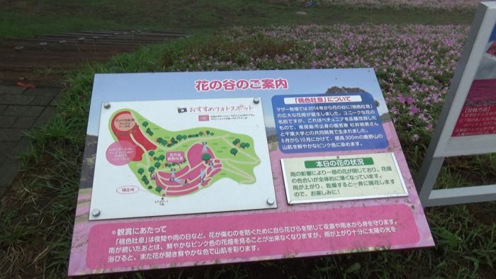 マザー牧場 花の谷の案内看板