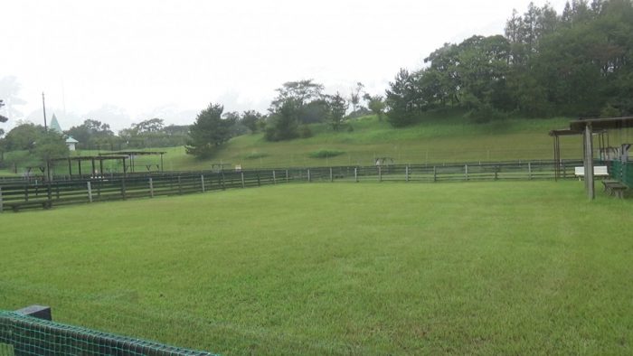 マザー牧場 ドッグラン大型犬エリア