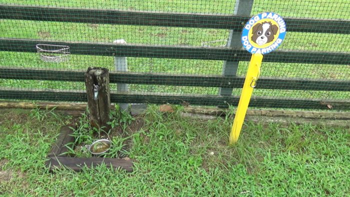 マザー牧場 ドッグランの水飲み場