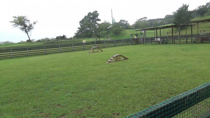 マザー牧場 ドッグランアジリティーエリア